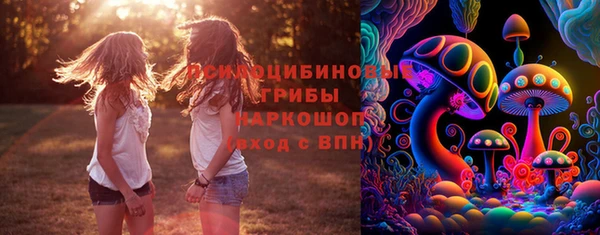 индика Алексеевка