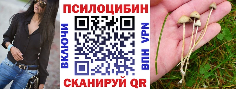 Галлюциногенные грибы Cubensis  Вихоревка 